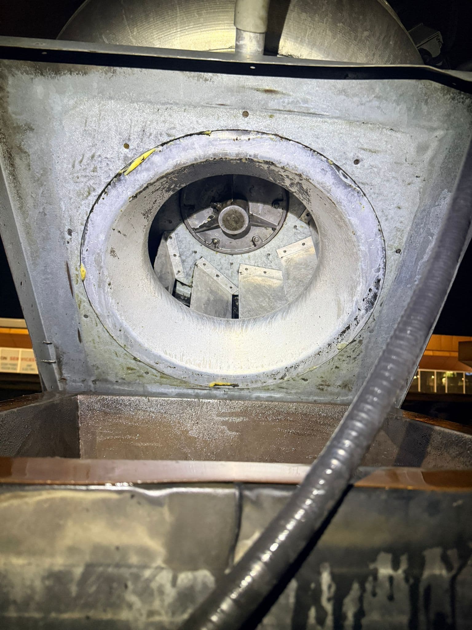 Clean kitchen exhaust fan